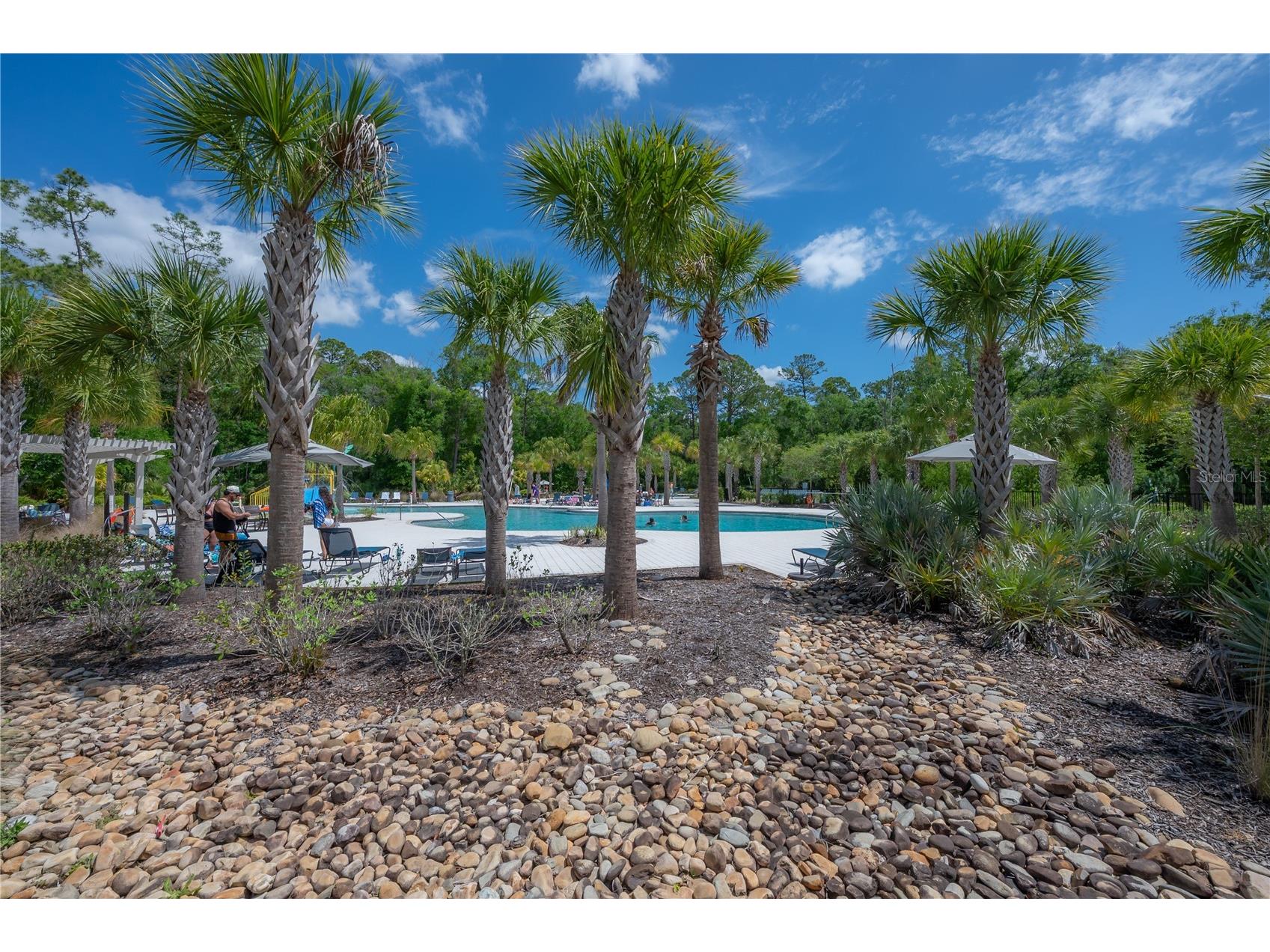 4652 Ballantrae Boulevard Land O Lakes FL 34638 TB8493285 image41