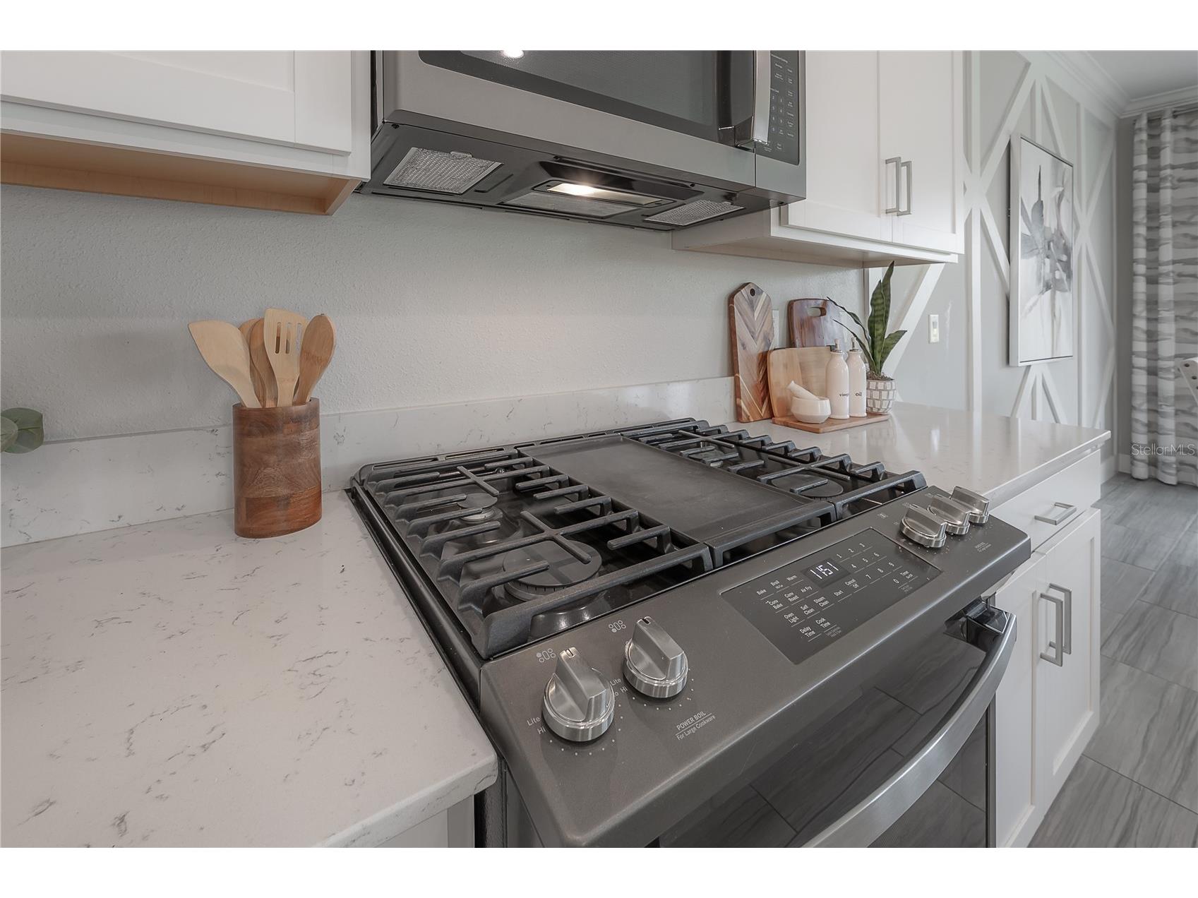 4652 Ballantrae Boulevard Land O Lakes FL 34638 TB8493285 image5