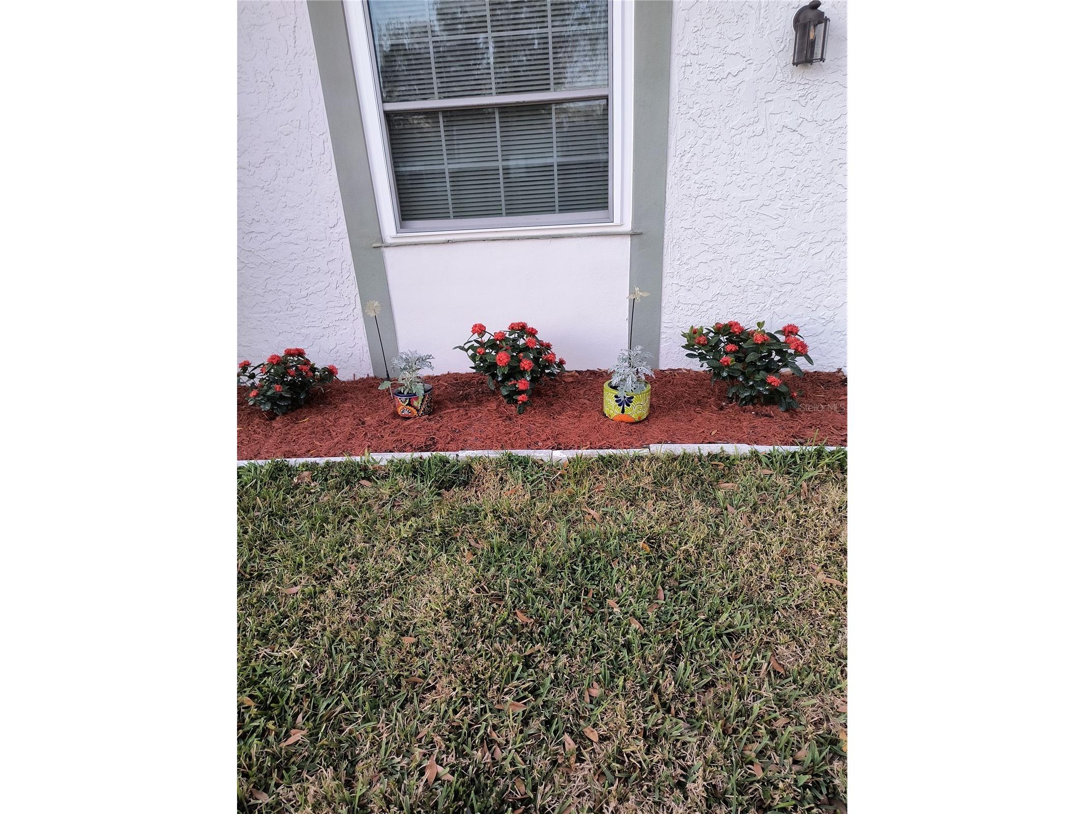 4653 Lake Villa Drive #B Clearwater FL 33762 TB8481300 image26
