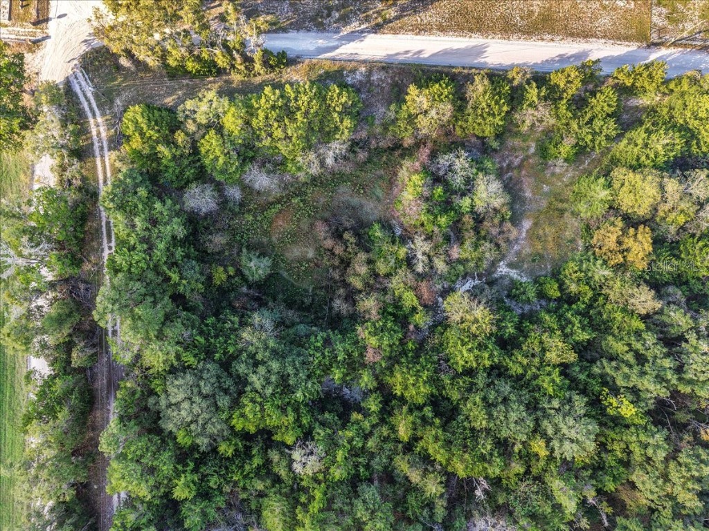 4654 NW 45th Avenue Bell FL 32619 GC534994 image50