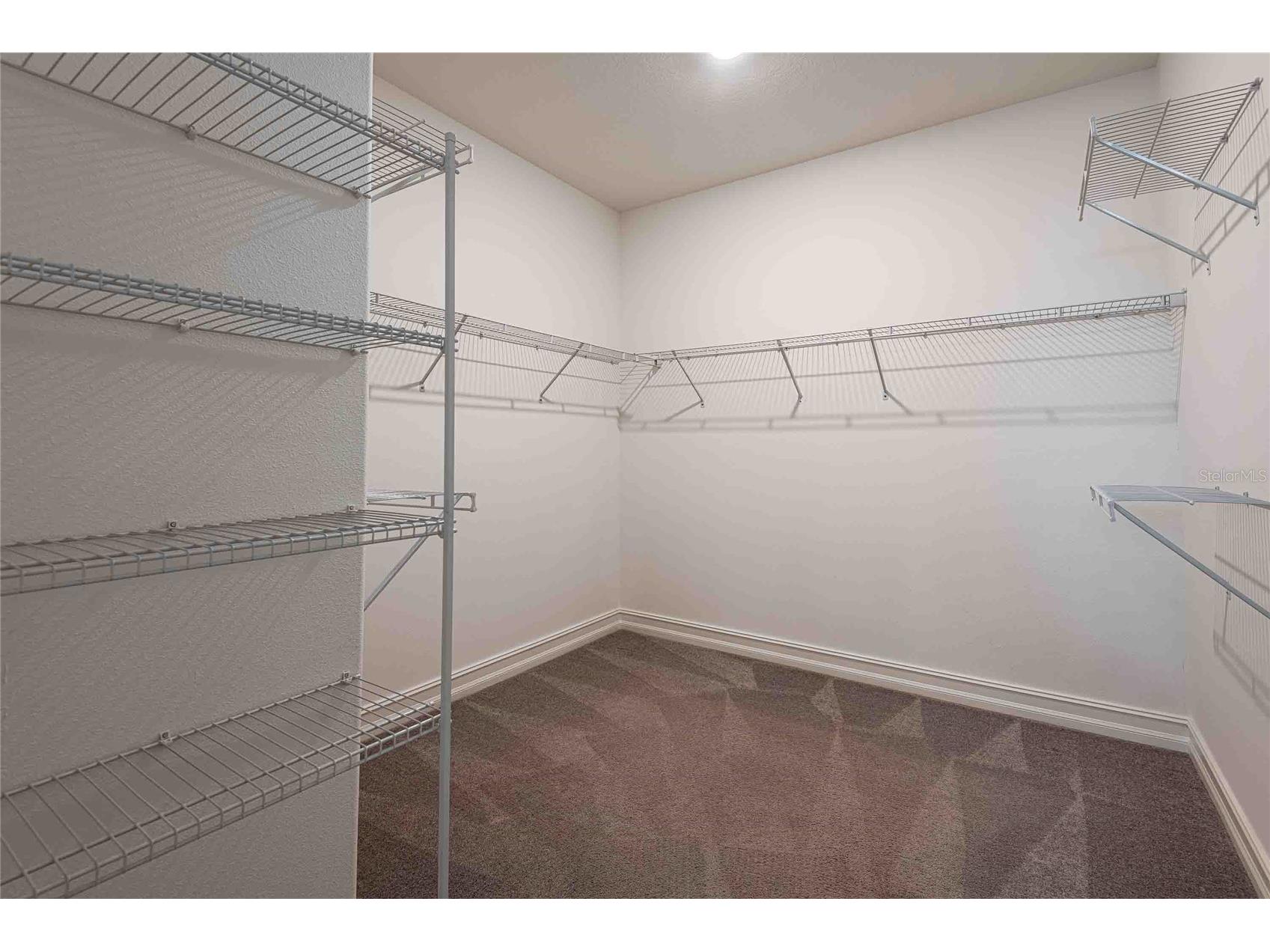 4655 Almada Lane Wesley Chapel FL 33543 TB8466247 image30
