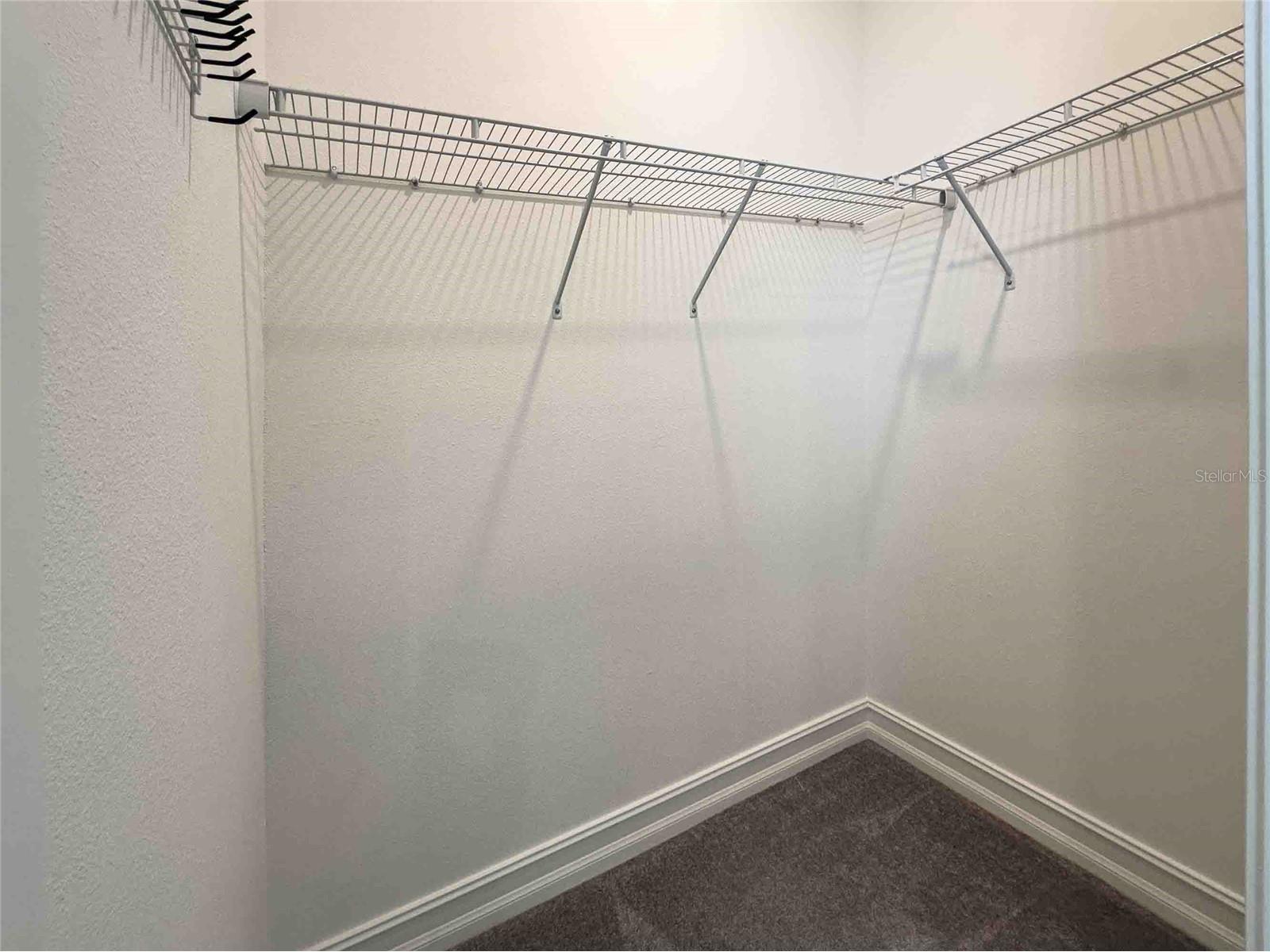 4655 Almada Lane Wesley Chapel FL 33543 TB8466247 image42