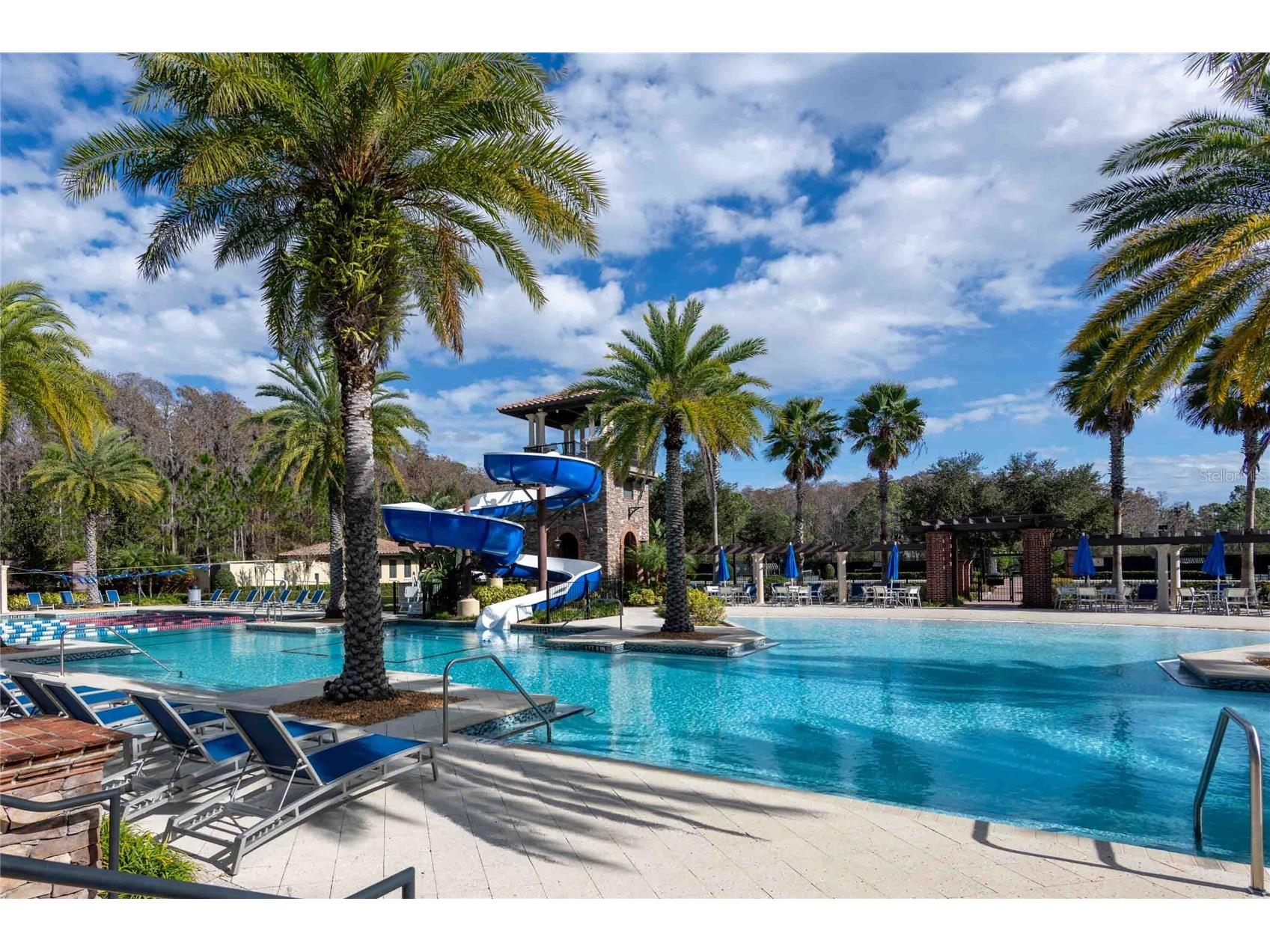 4655 Almada Lane Wesley Chapel FL 33543 TB8466247 image59