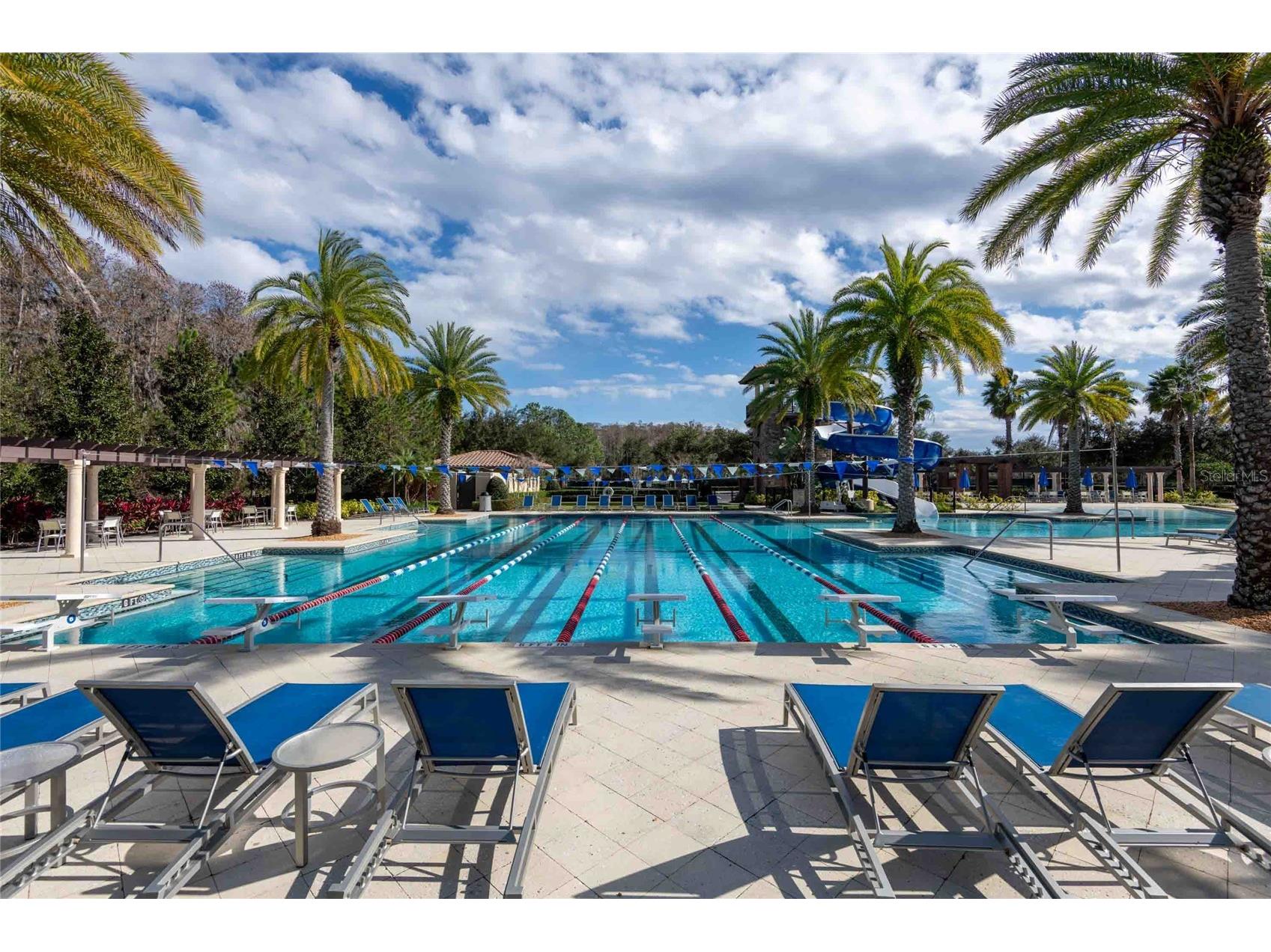 4655 Almada Lane Wesley Chapel FL 33543 TB8466247 image60