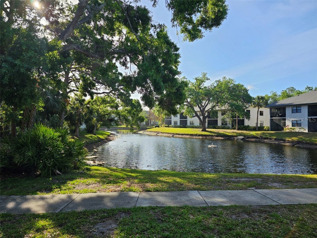 4655 W 46th Street Court #103 Bradenton FL 34210 M5799319 image34