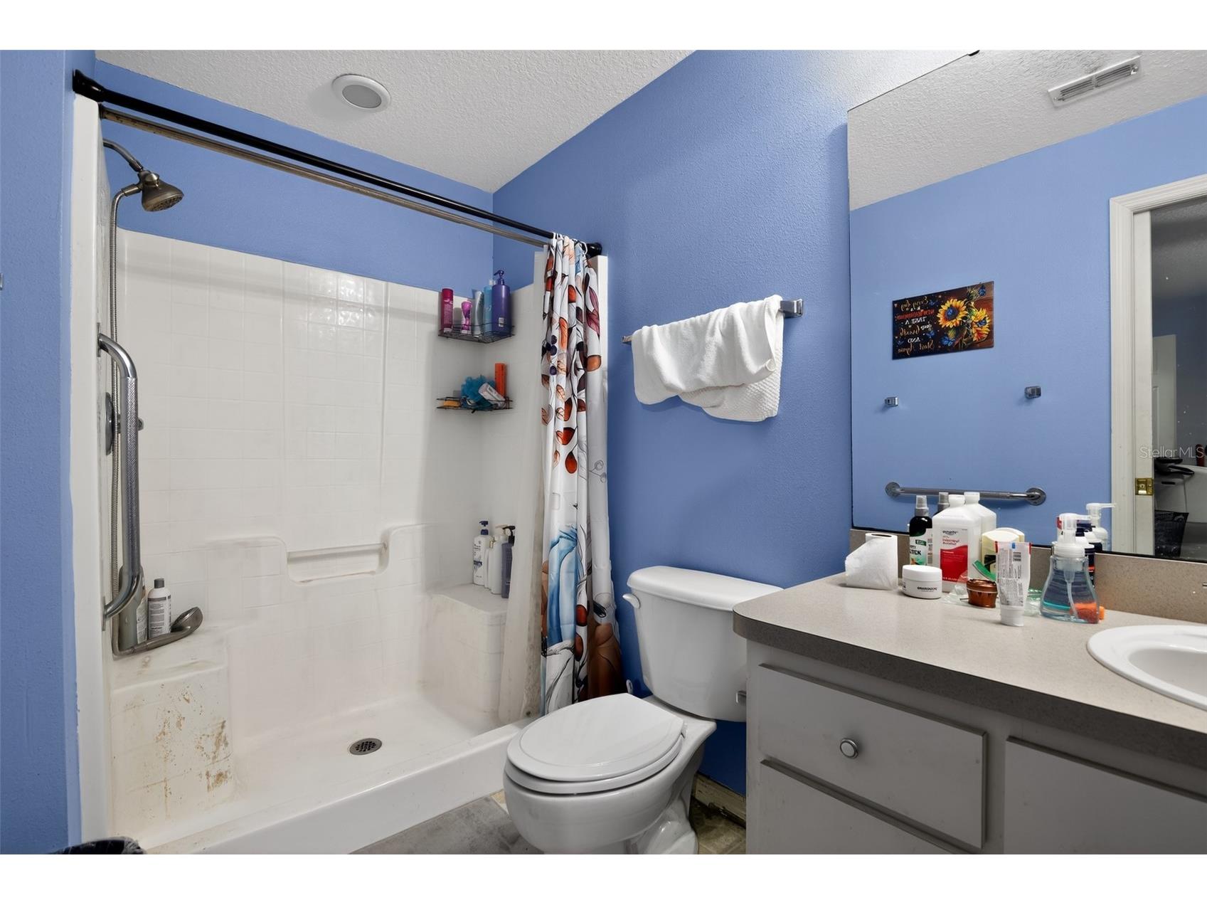 4657 SE 136th Street Summerfield FL 34491 A4695944 image12