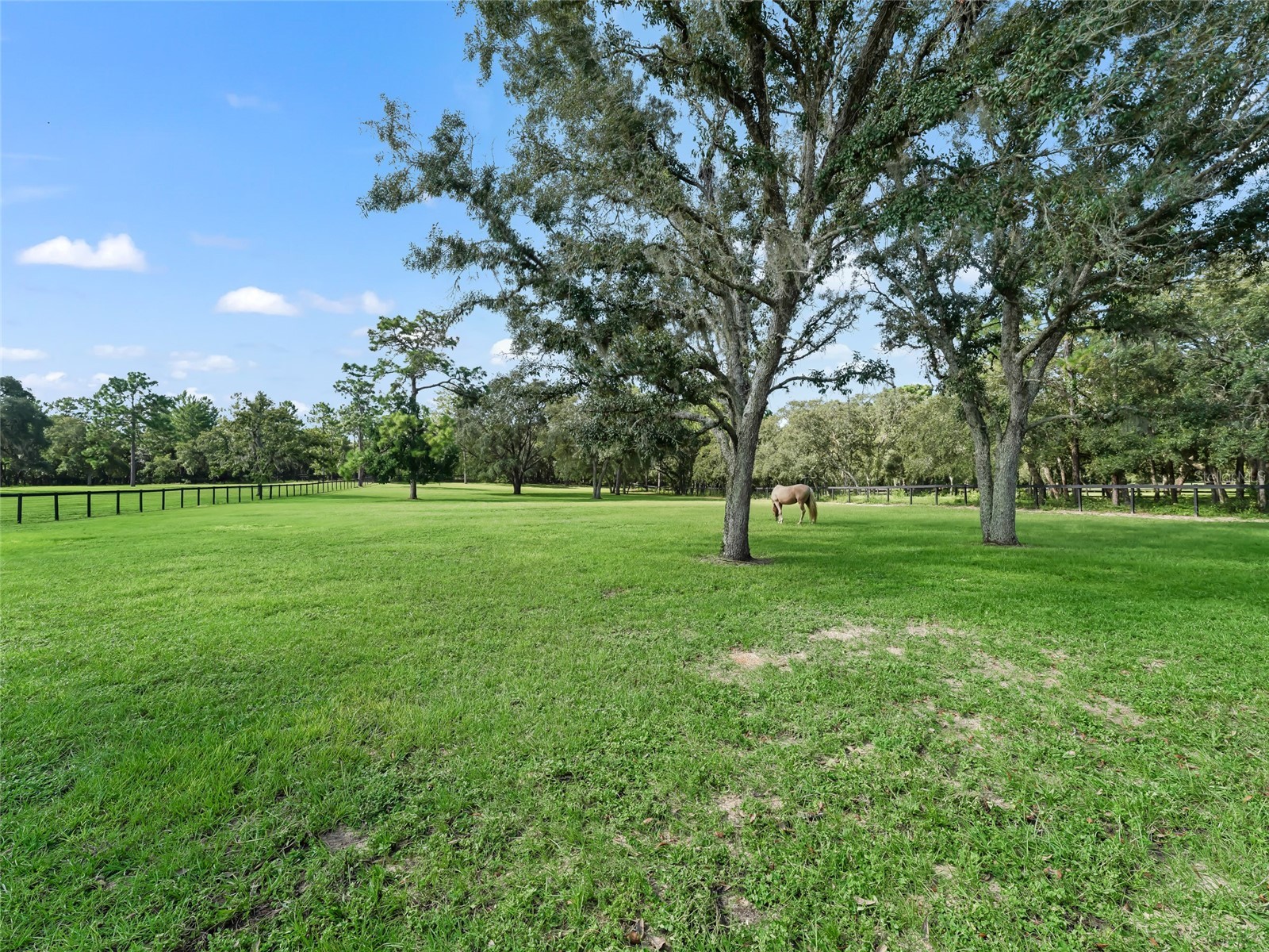 4658 W Hacienda Drive Beverly Hills FL 34465 OM699715 image38