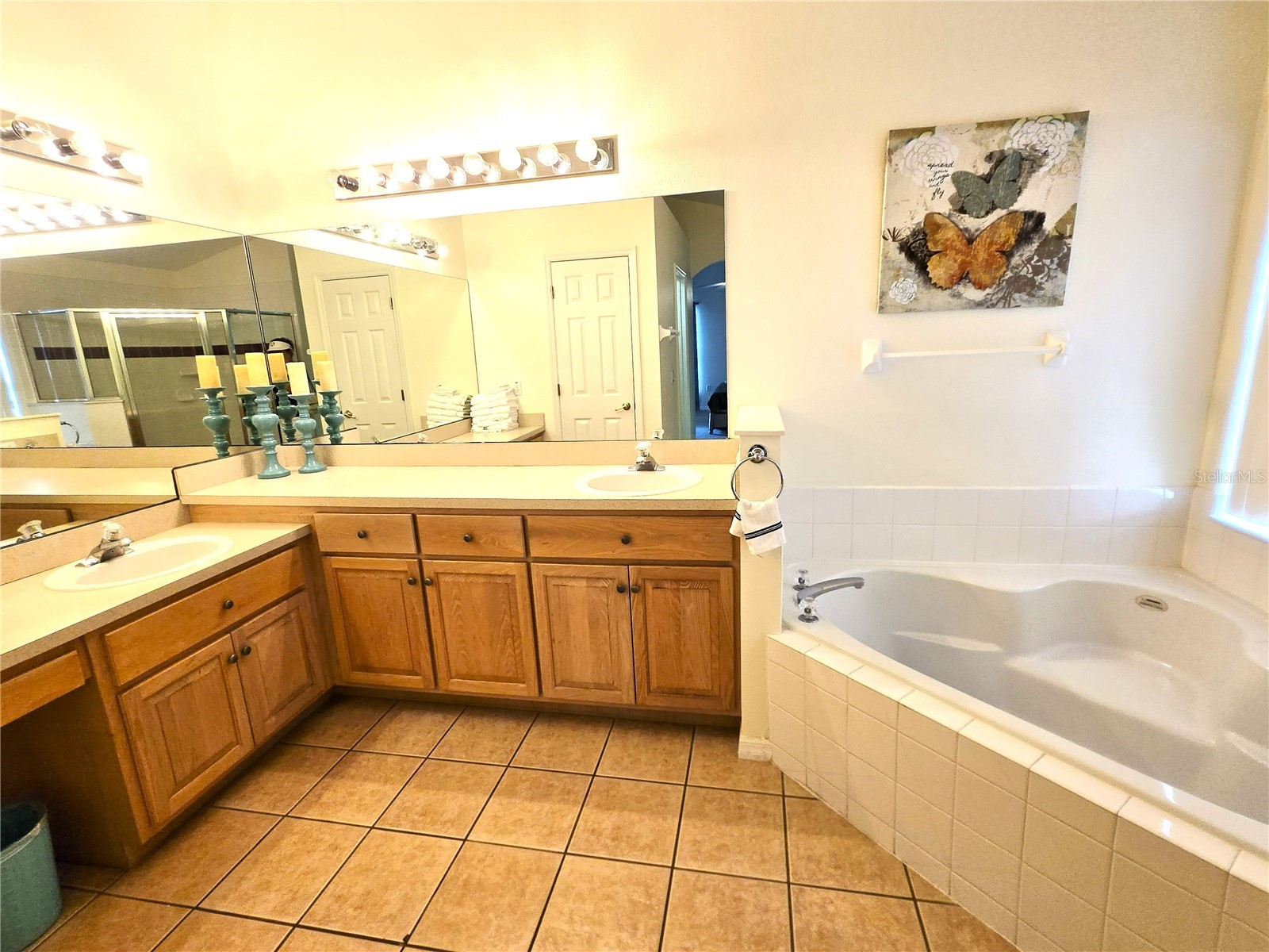 4659 Cumbrian Lakes Drive Kissimmee FL 34746 O6412382 image12