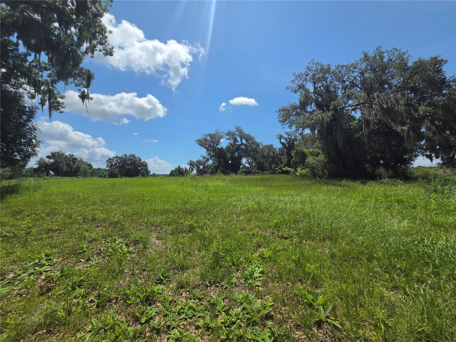 466 Long And Winding Road Howey In The Hills FL 34737 G5114477 image1