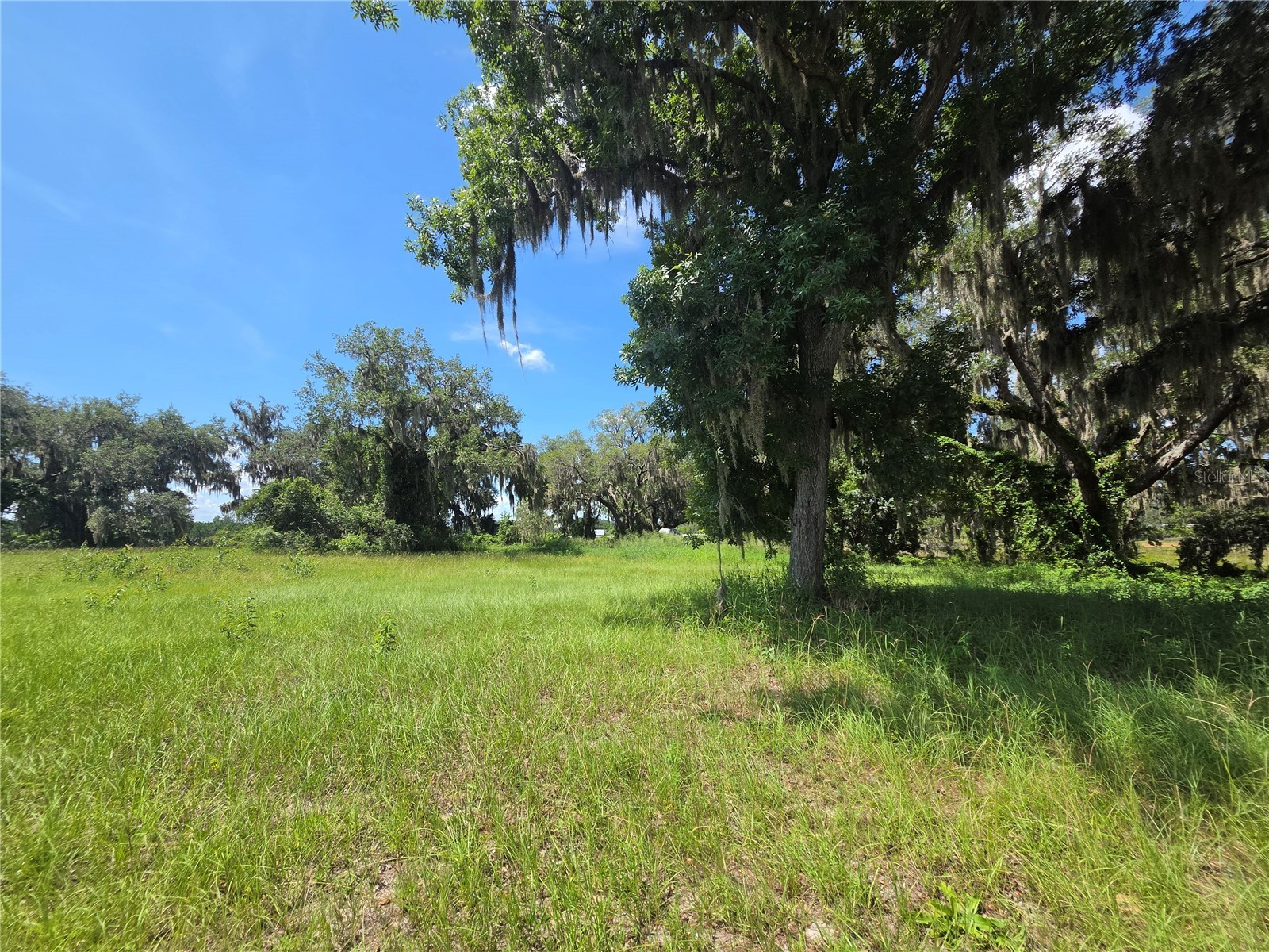466 Long And Winding Road Howey In The Hills FL 34737 G5114477 image11