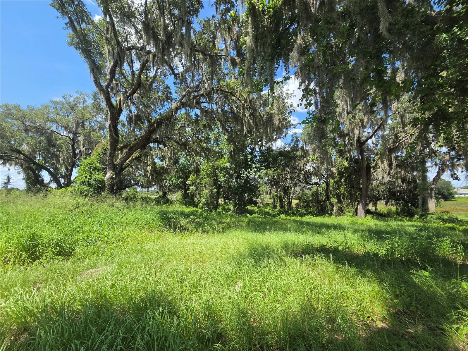 466 Long And Winding Road Howey In The Hills FL 34737 G5114477 image12