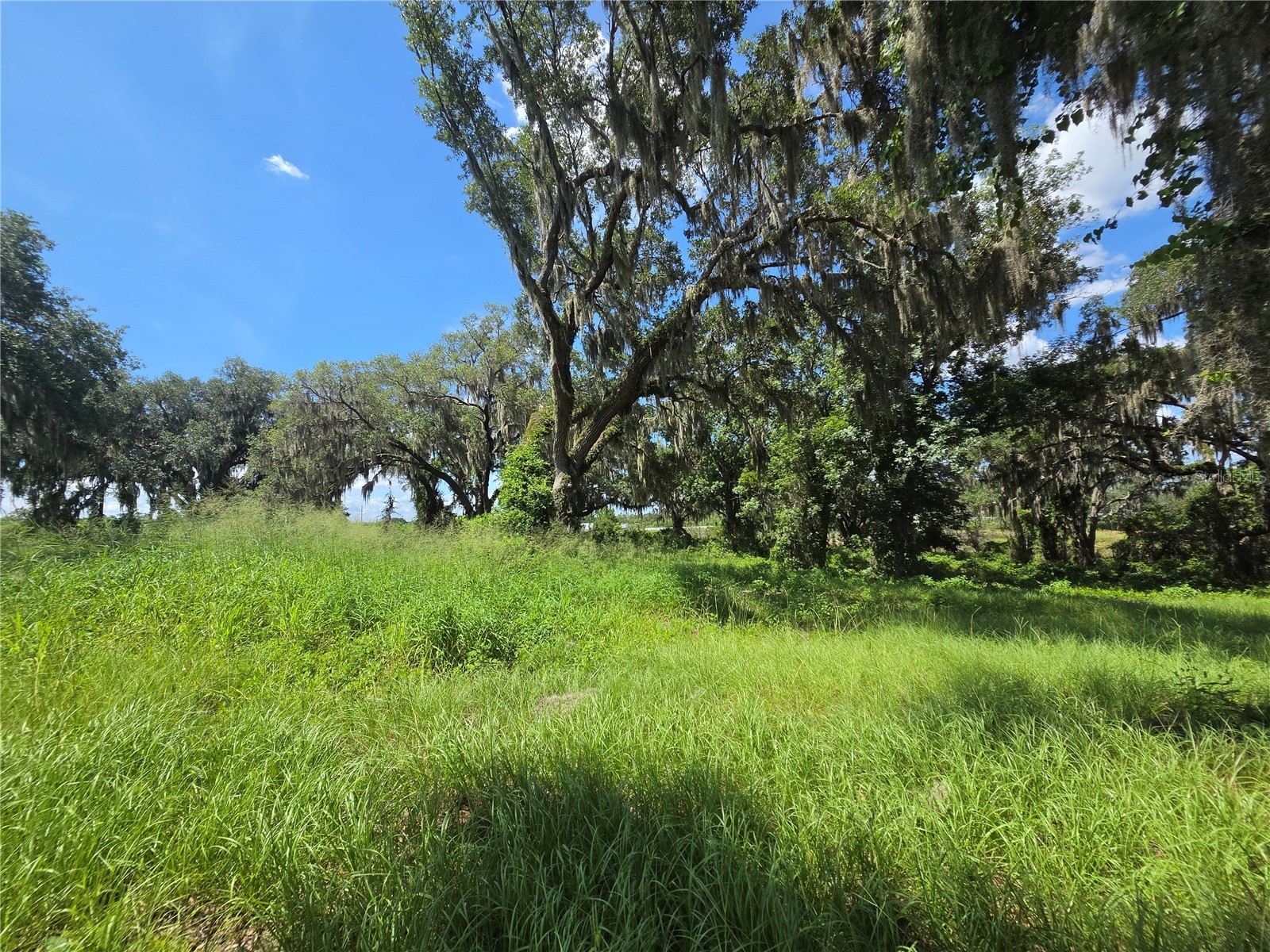 466 Long And Winding Road Howey In The Hills FL 34737 G5114477 image13