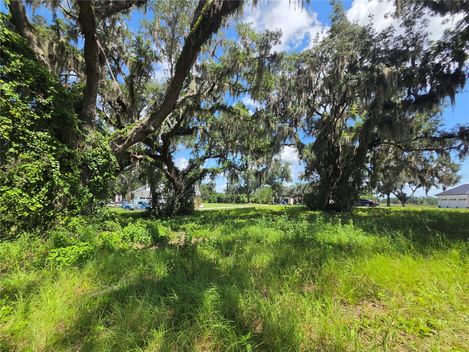 466 Long And Winding Road Howey In The Hills FL 34737 G5114477 image14