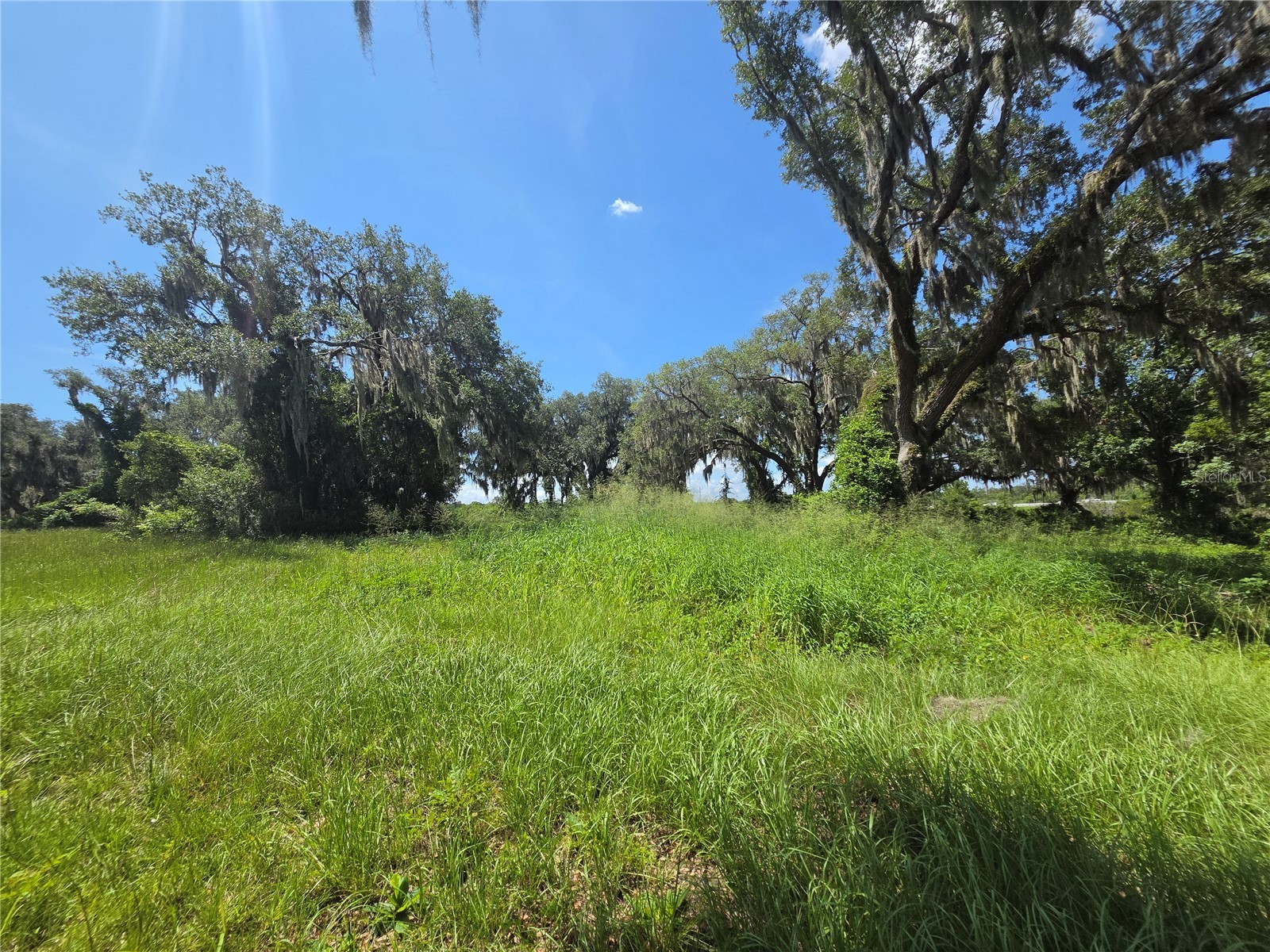 466 Long And Winding Road Howey In The Hills FL 34737 G5114477 image6