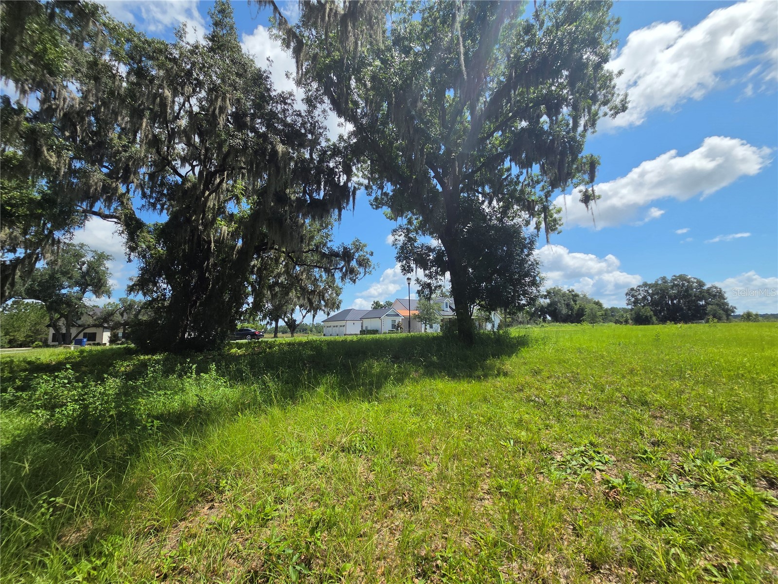 466 Long And Winding Road Howey In The Hills FL 34737 G5114477 image7