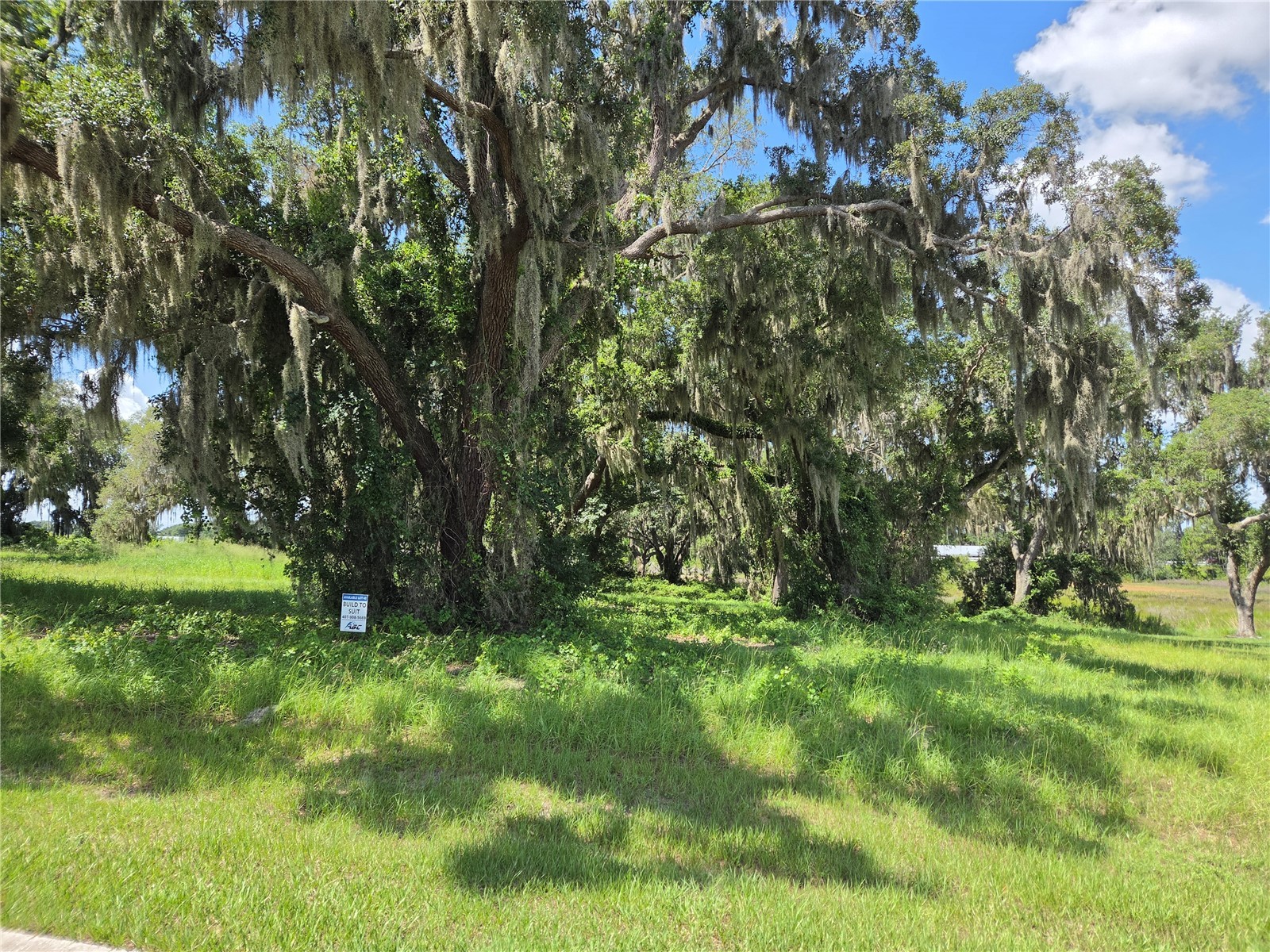 466 Long And Winding Road Howey In The Hills FL 34737 G5114477 image8
