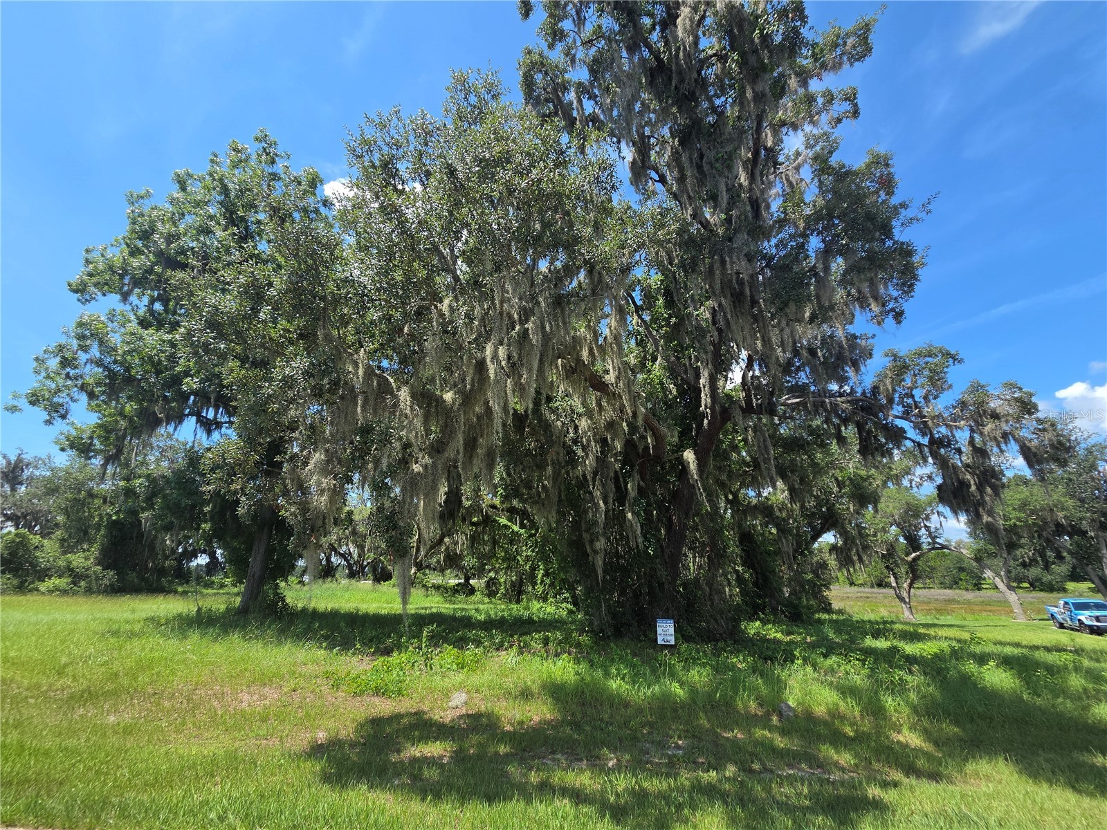 466 Long And Winding Road Howey In The Hills FL 34737 G5114477 image9