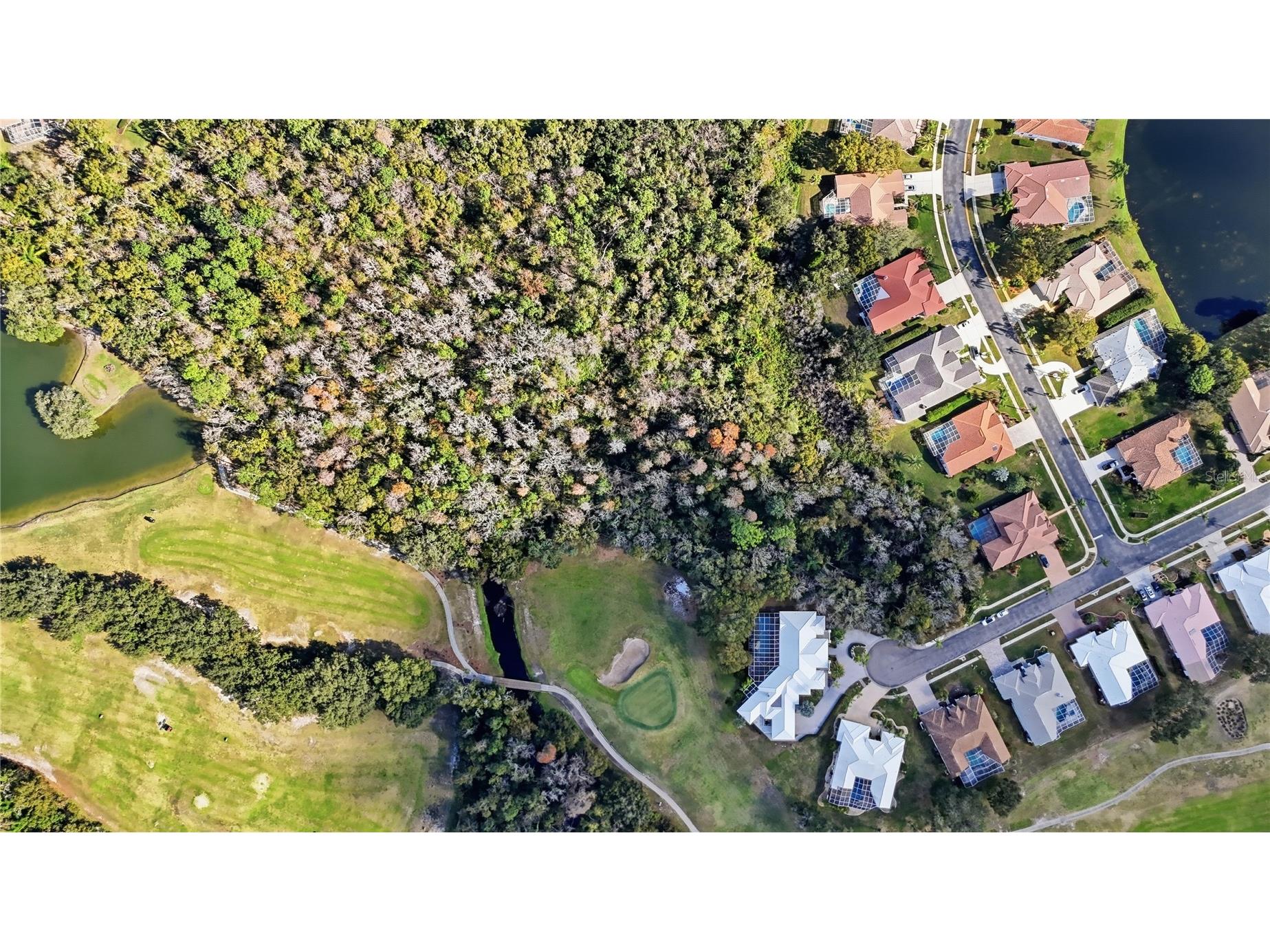466 Tall Oak Trail Tarpon Springs FL 34688 O6407258 image81
