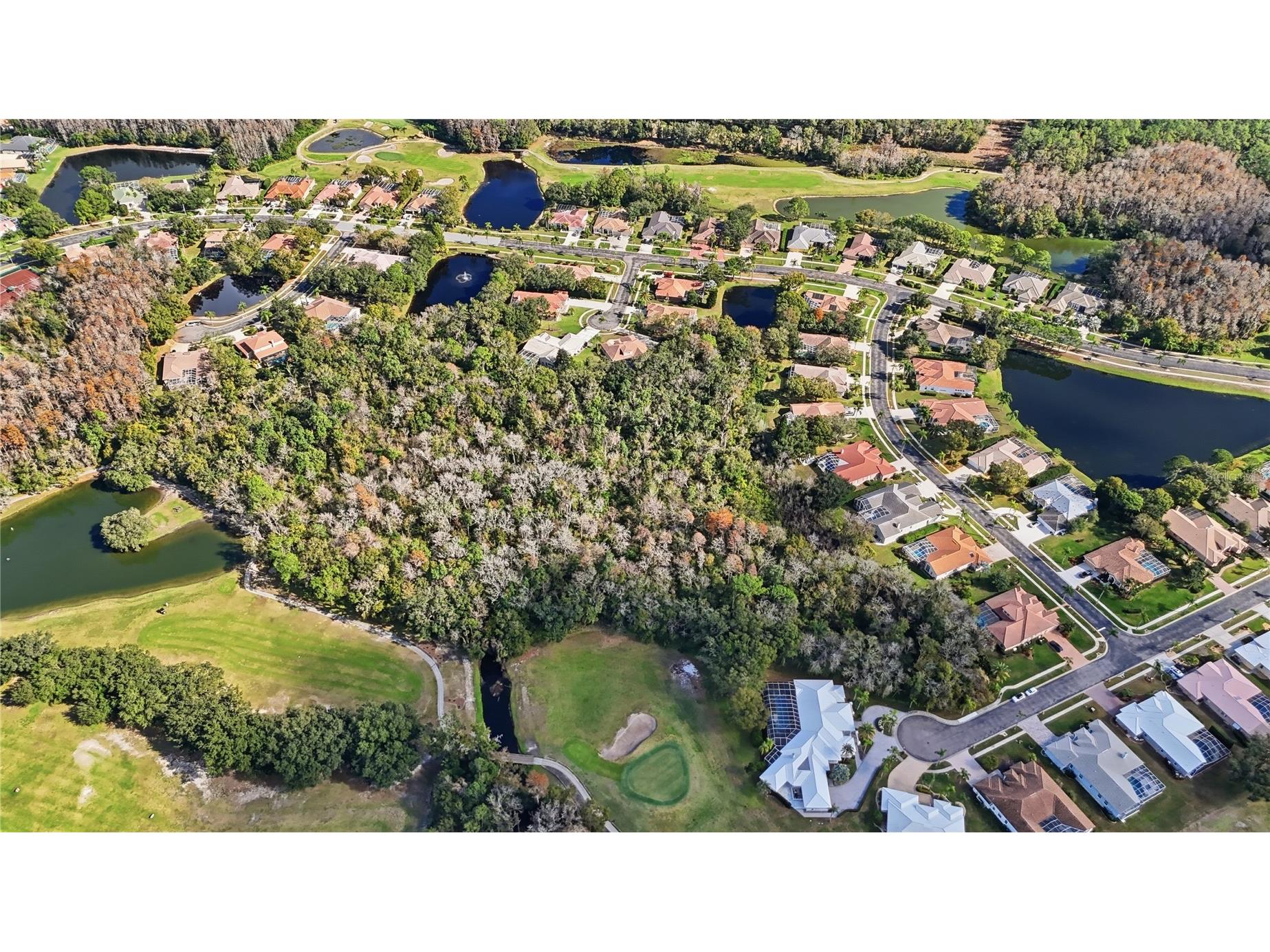 466 Tall Oak Trail Tarpon Springs FL 34688 O6407258 image82