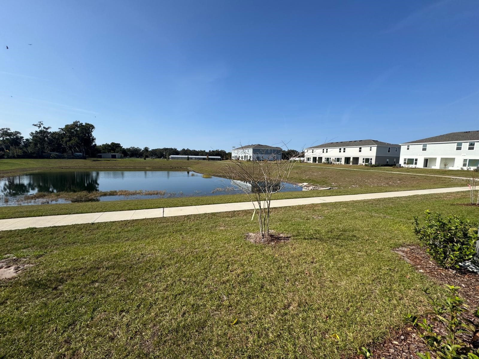 466 Thompson Village Avenue Apopka FL 32703 S5147826 image21