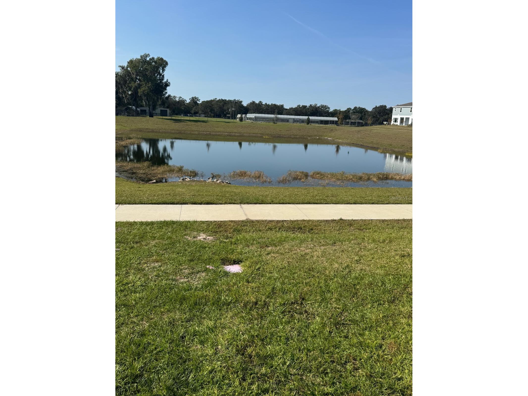 466 Thompson Village Avenue Apopka FL 32703 S5147826 image22