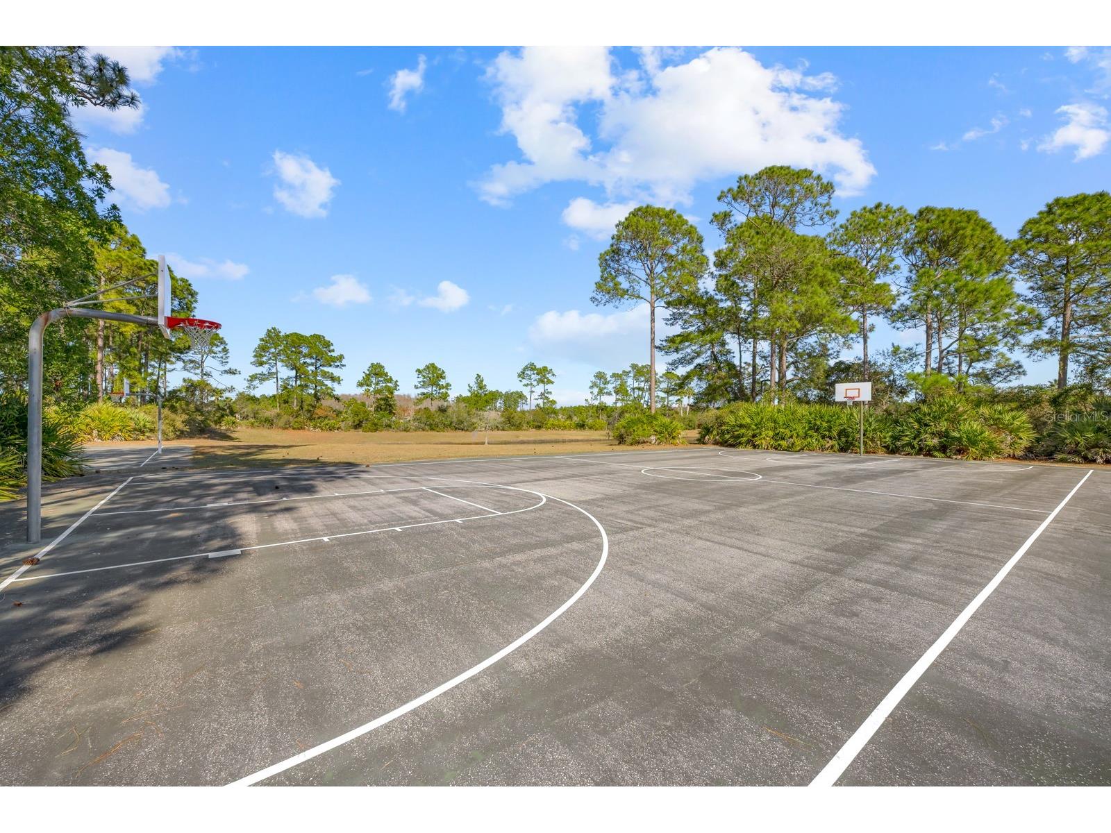 466 Wooded Crossing Circle Saint Augustine FL 32084 FC315596 image94