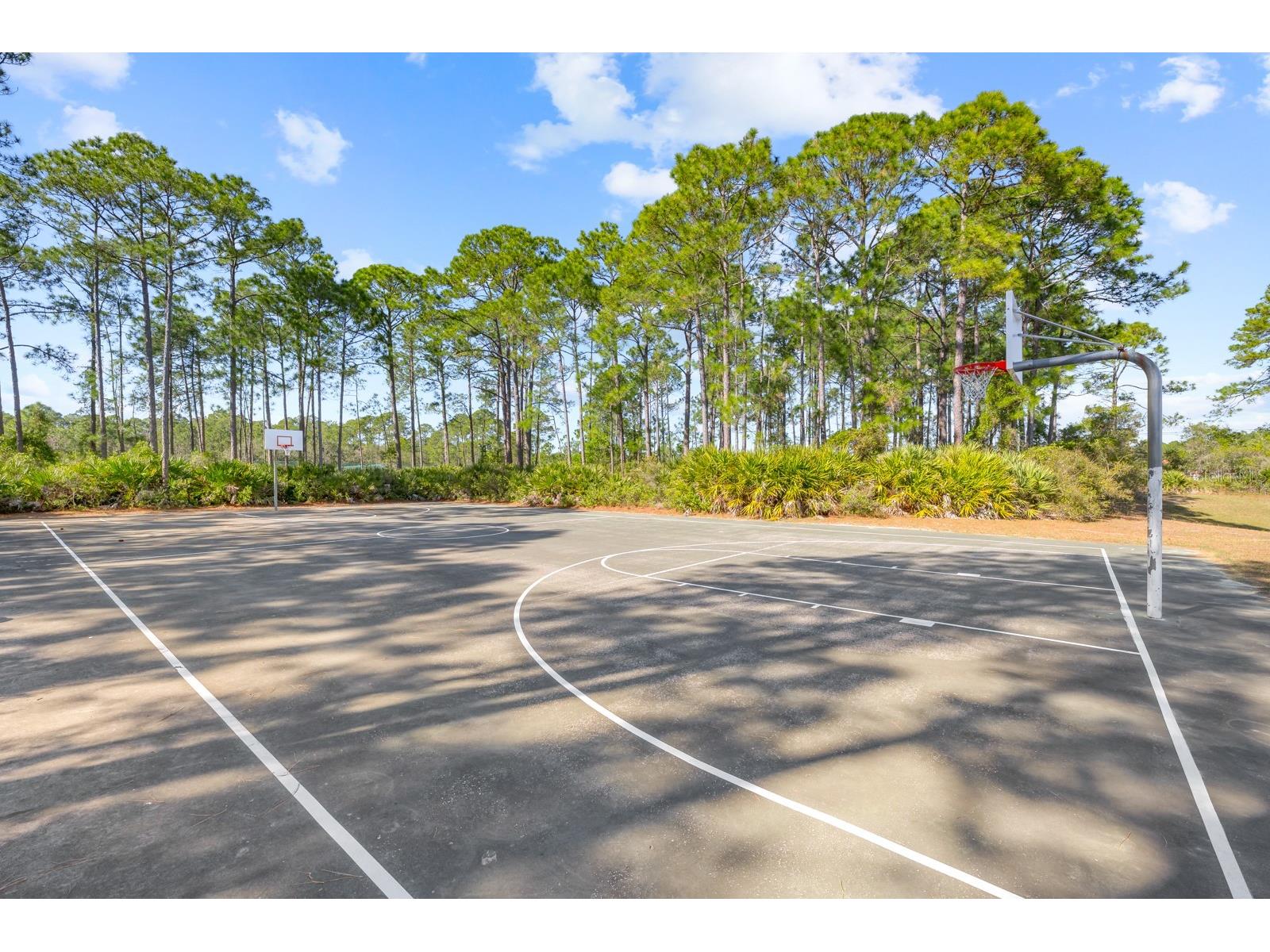 466 Wooded Crossing Circle Saint Augustine FL 32084 FC315596 image96