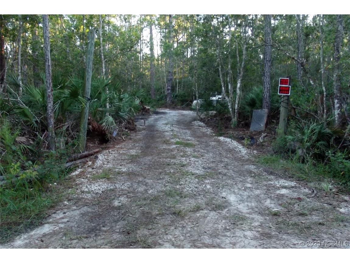 4660 Gum Road New Smyrna Beach FL 32168 NS1077563 image1