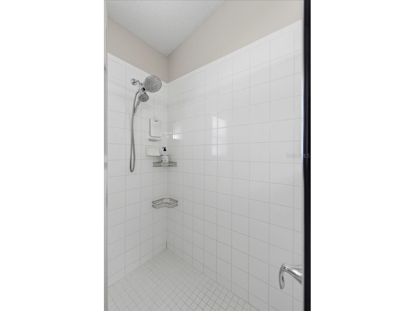 4661 Hickory Stream Lane Mulberry FL 33860 L4962274 image18