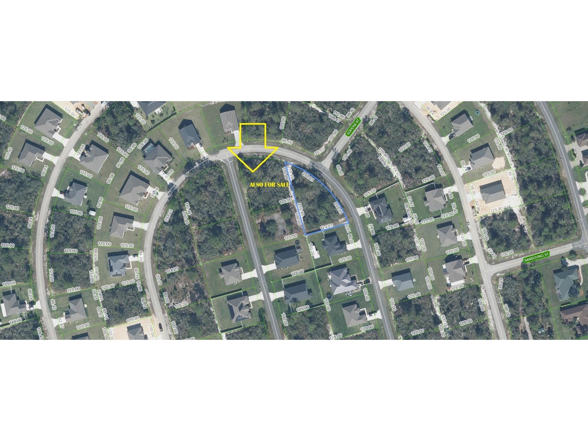 4661 San Lorenzo Drive Sebring FL 33872 C7523287 image1