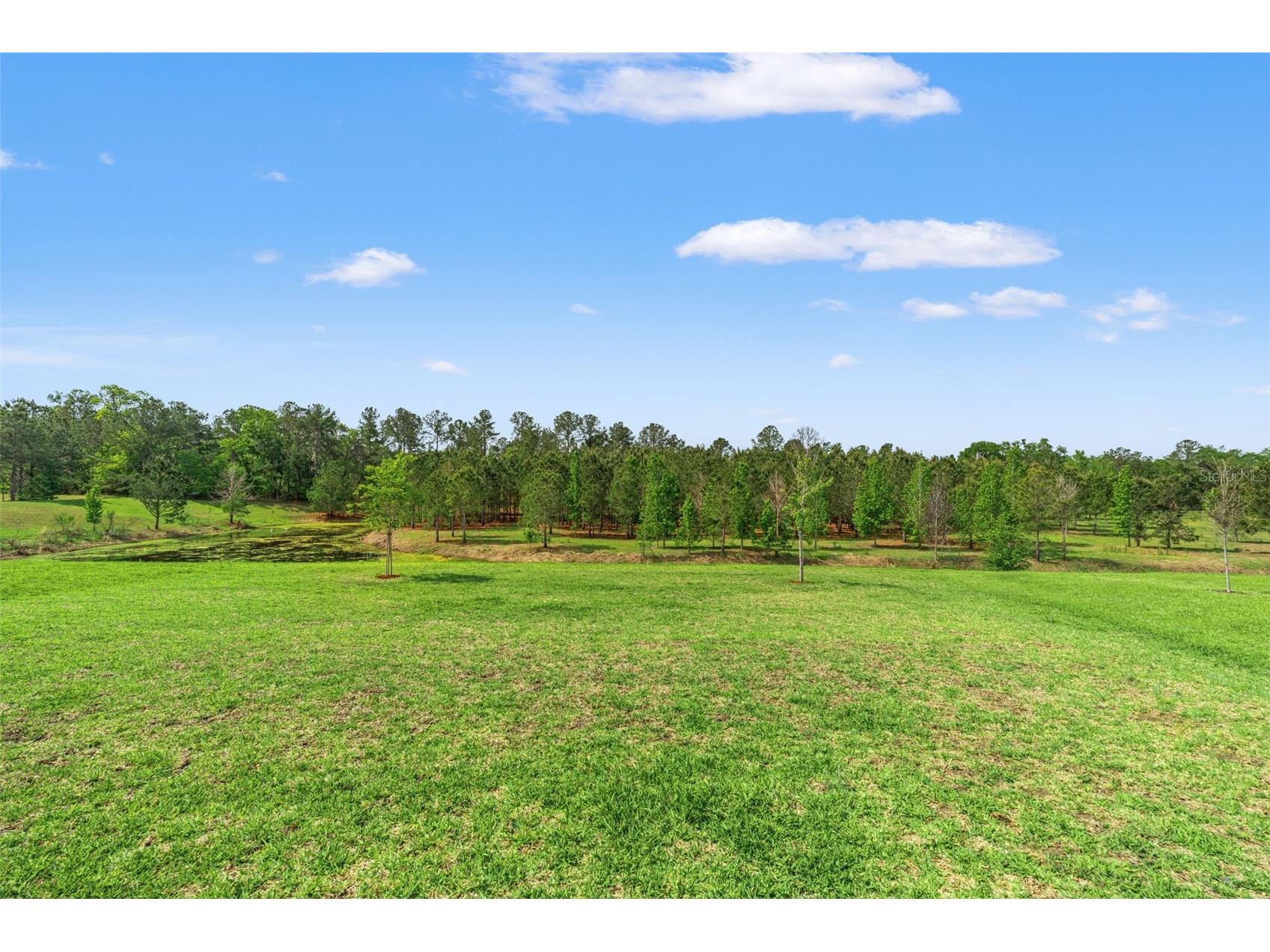 4661 Southern Valley Loop Brooksville FL 34601 TB8495306 image39