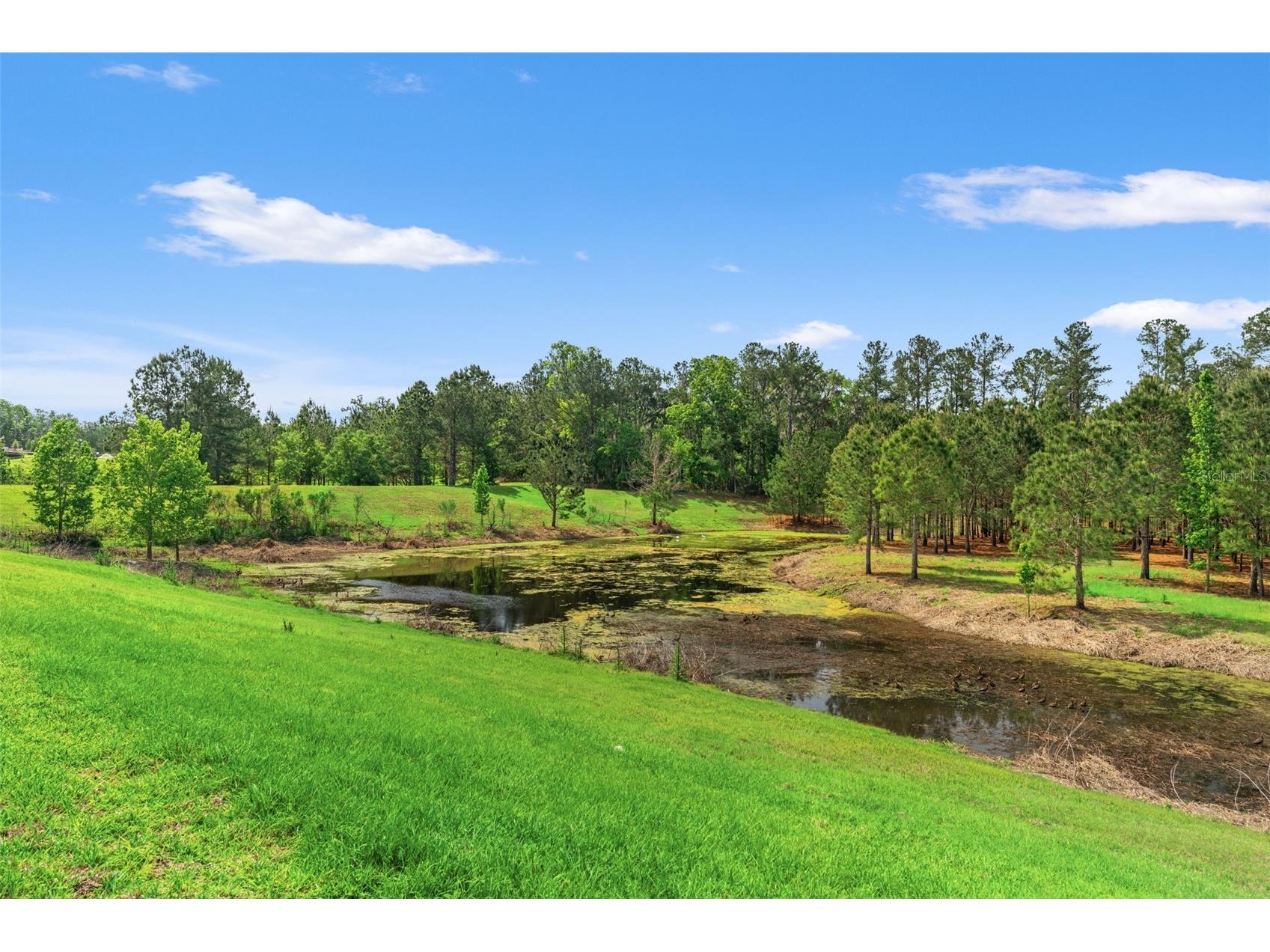 4661 Southern Valley Loop Brooksville FL 34601 TB8495306 image40