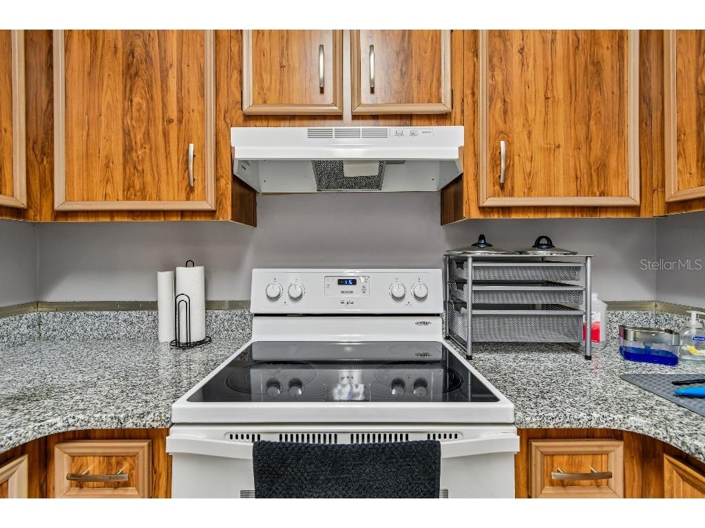 4662 Lighthouse Circle #136 Orlando FL 32808 TB8475455 image21