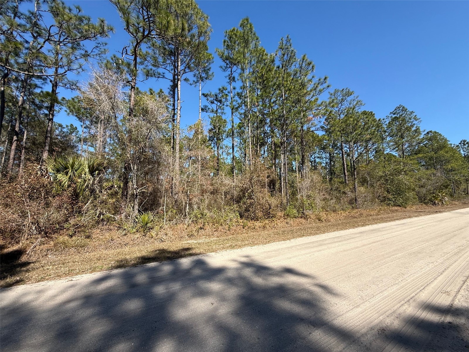 4664 Clove Avenue Bunnell FL 32110 FC316183 image1