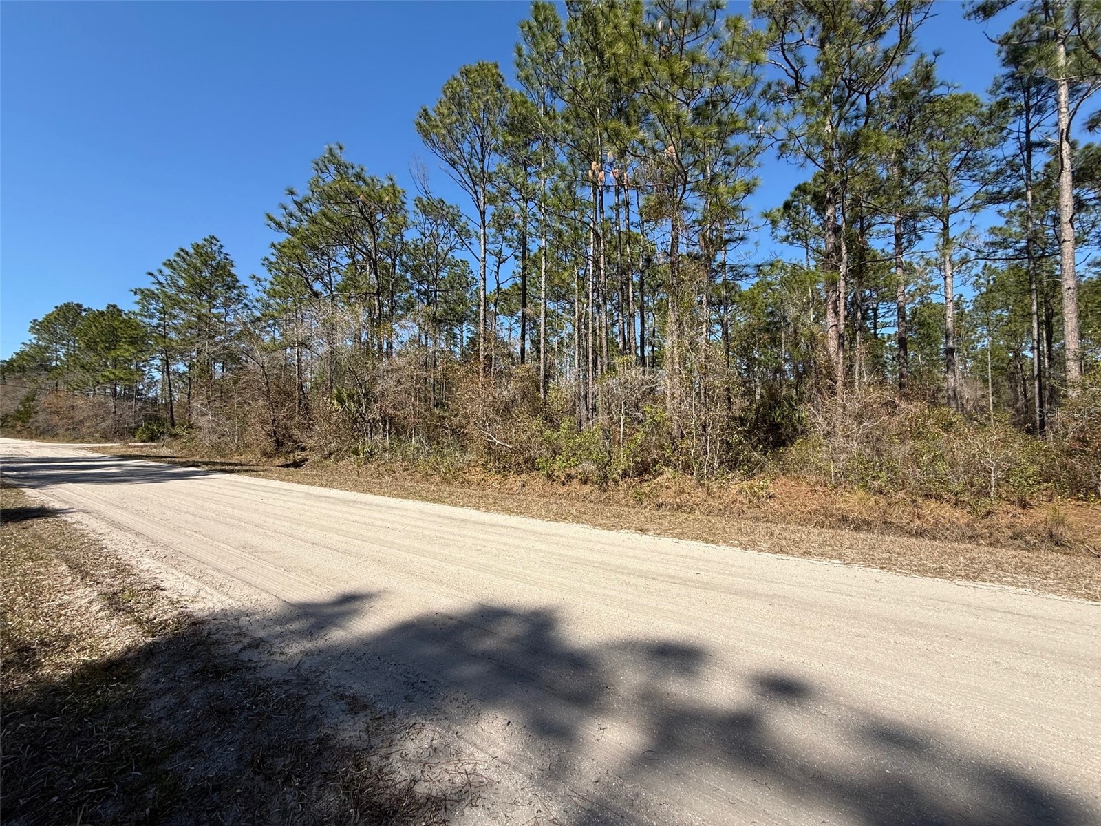 4664 Clove Avenue Bunnell FL 32110 FC316183 image2