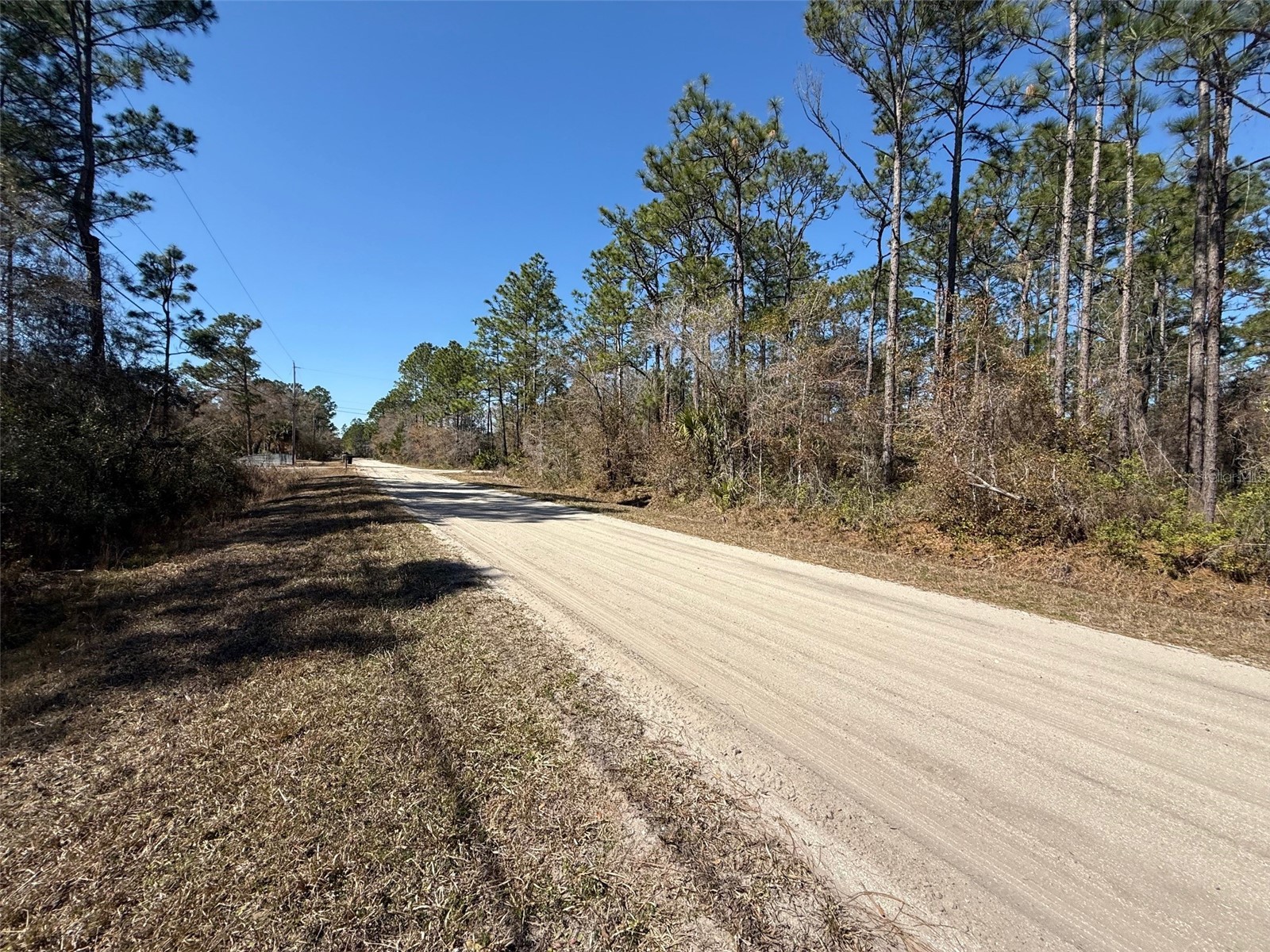 4664 Clove Avenue Bunnell FL 32110 FC316183 image3