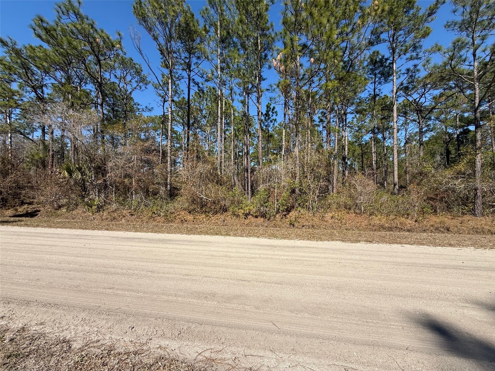 4664 Clove Avenue Bunnell FL 32110 FC316183 image4