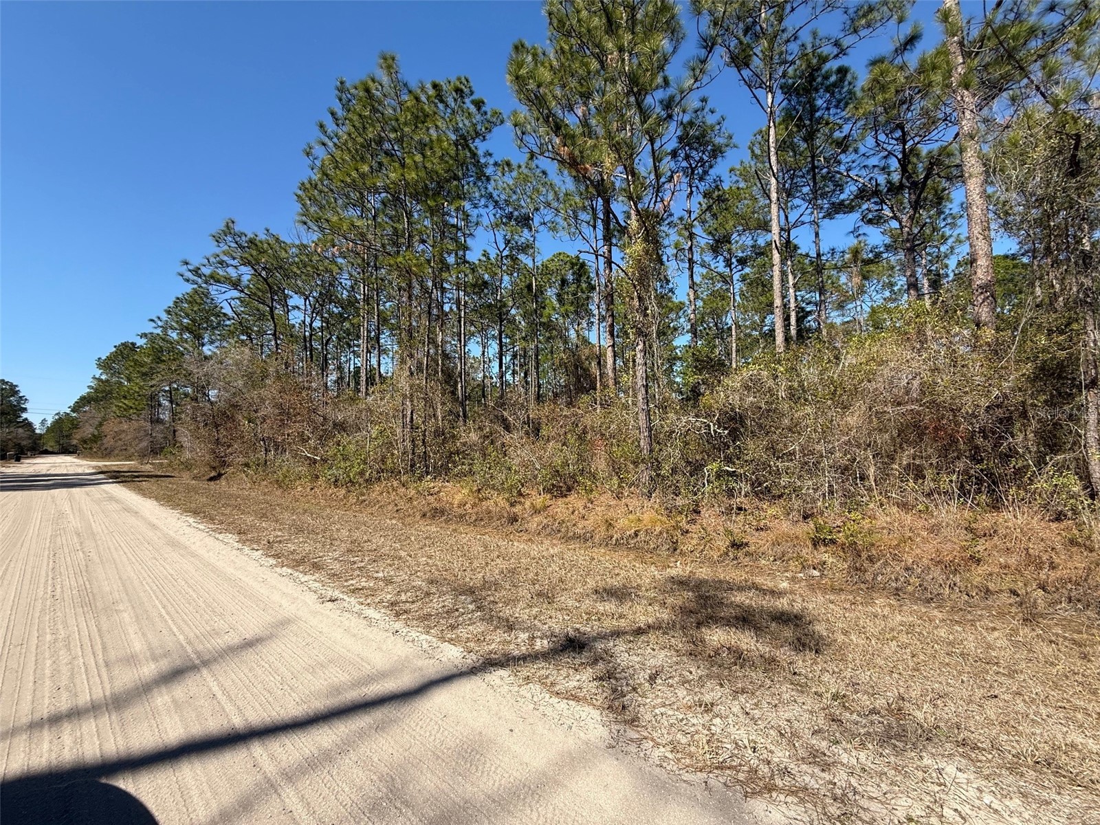 4664 Clove Avenue Bunnell FL 32110 FC316183 image5