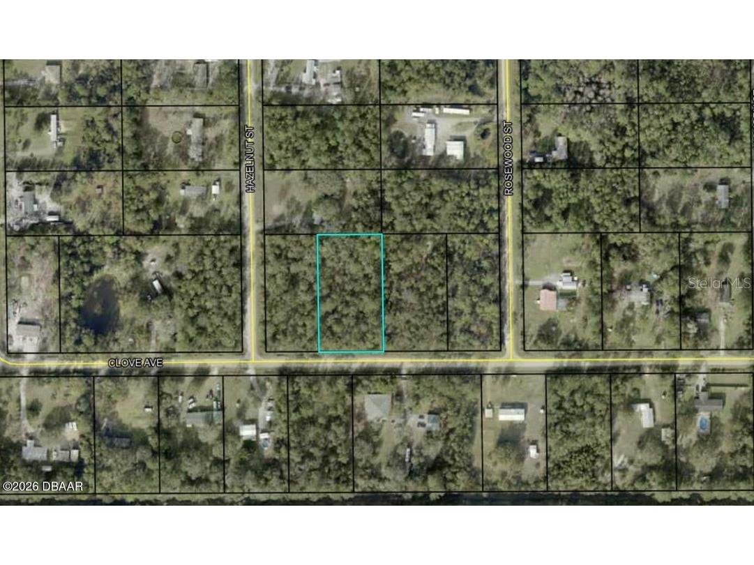 4664 Clove Avenue Bunnell FL 32110 FC316183 image6