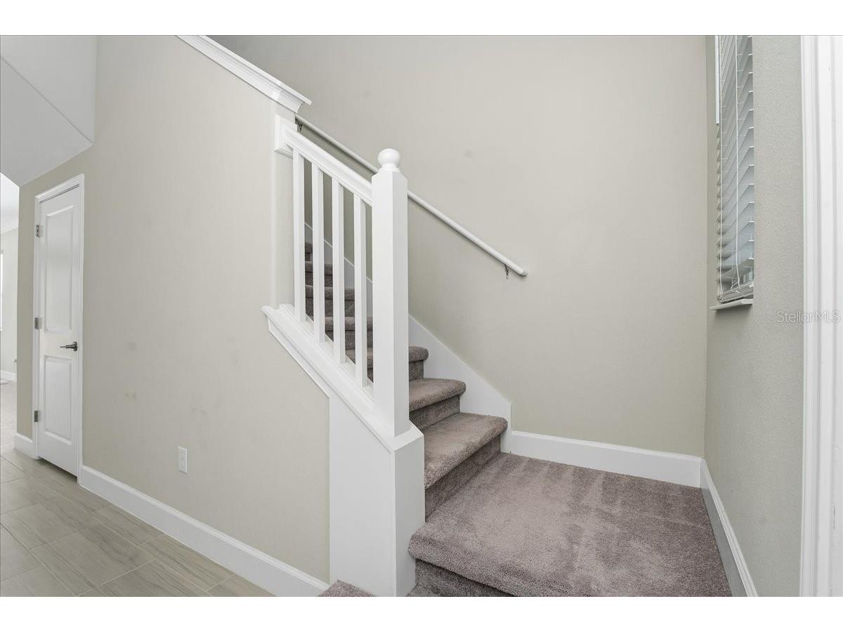 4664 Lagona Lane Wesley Chapel FL 33543 TB8479954 image18