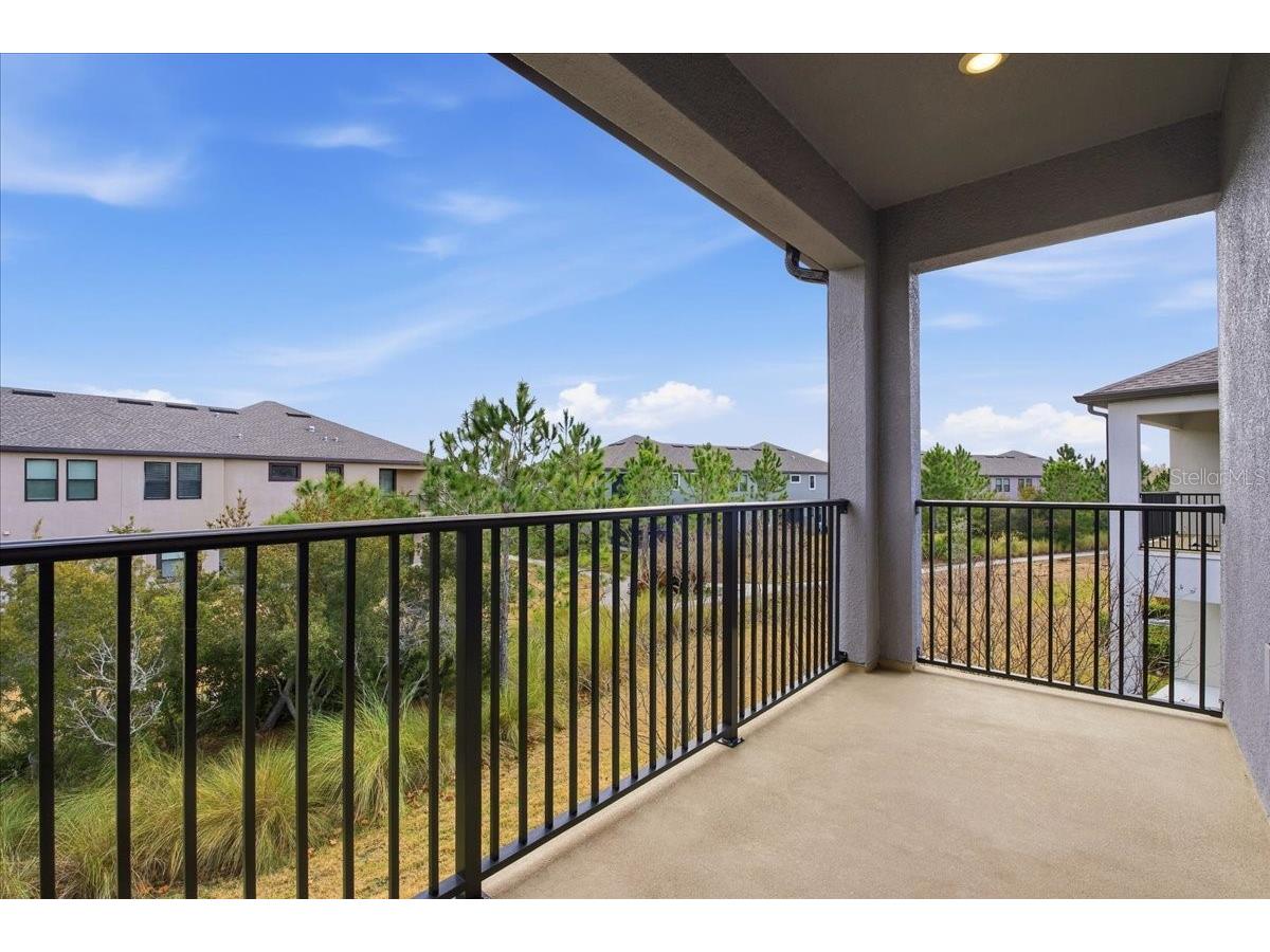 4664 Lagona Lane Wesley Chapel FL 33543 TB8479954 image28