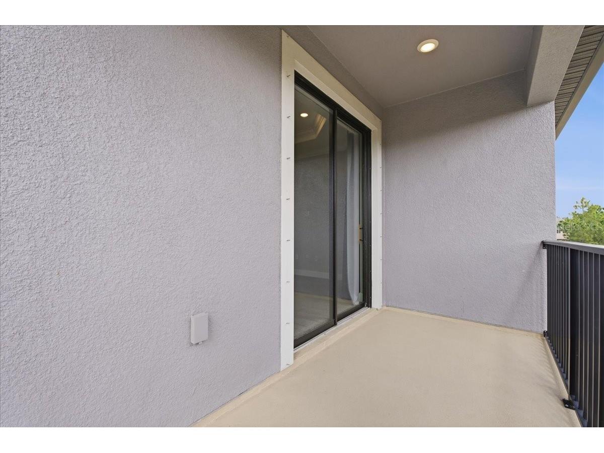 4664 Lagona Lane Wesley Chapel FL 33543 TB8479954 image29