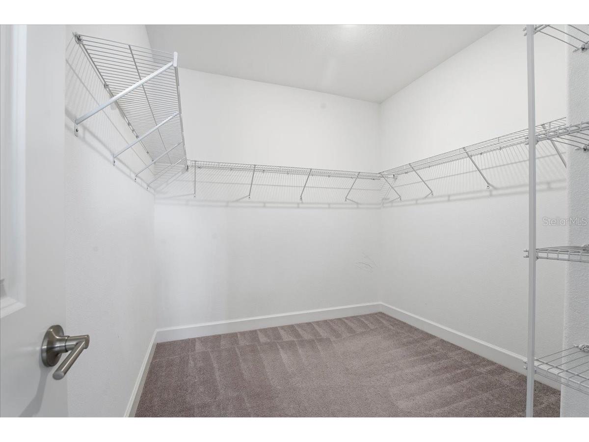 4664 Lagona Lane Wesley Chapel FL 33543 TB8479954 image34