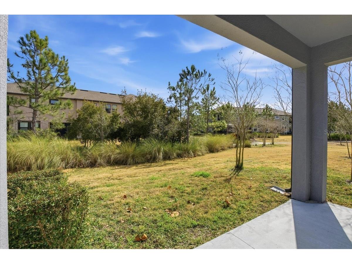 4664 Lagona Lane Wesley Chapel FL 33543 TB8479954 image36