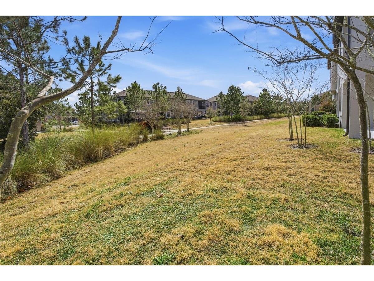 4664 Lagona Lane Wesley Chapel FL 33543 TB8479954 image41