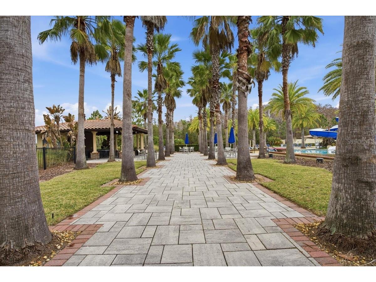 4664 Lagona Lane Wesley Chapel FL 33543 TB8479954 image56