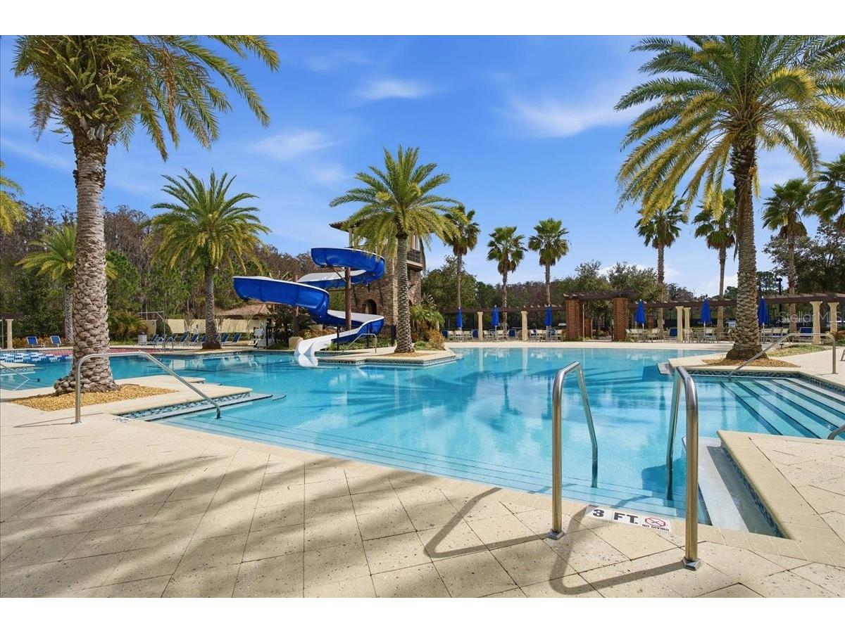 4664 Lagona Lane Wesley Chapel FL 33543 TB8479954 image58