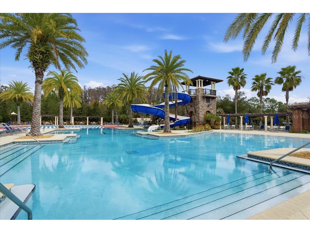 4664 Lagona Lane Wesley Chapel FL 33543 TB8479954 image59