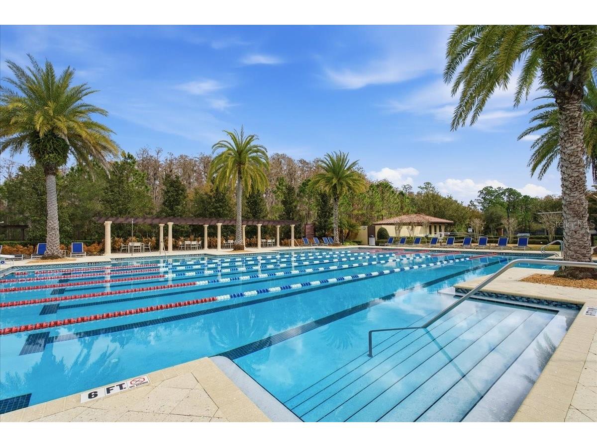 4664 Lagona Lane Wesley Chapel FL 33543 TB8479954 image63