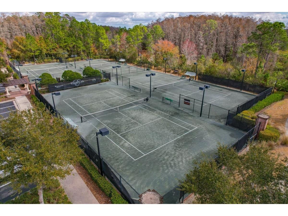 4664 Lagona Lane Wesley Chapel FL 33543 TB8479954 image70